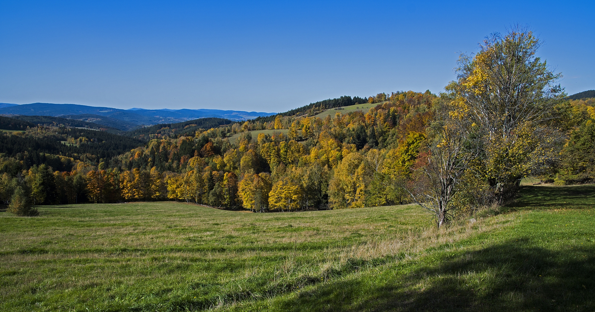 Barevná Šumava u Řetenic